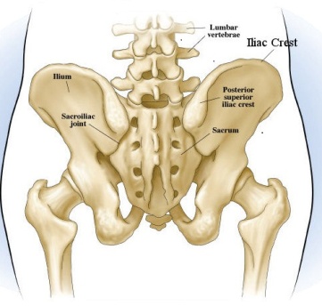 Iliac Crest Sacro-Iliac Joint